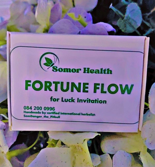 Fortune Flow